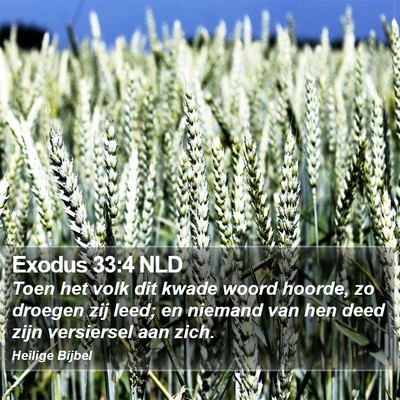 Exodus 33:4 NLD Bible Verse Image