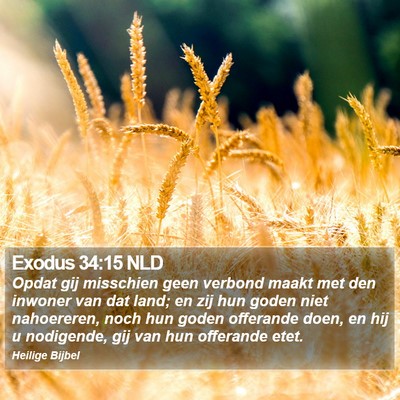 Exodus 34:15 NLD Bible Verse Image