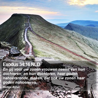 Exodus 34:16 NLD Bible Verse Image