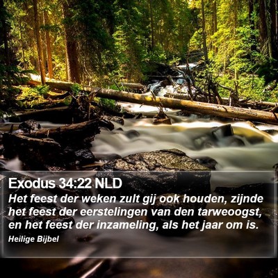 Exodus 34:22 NLD Bible Verse Image