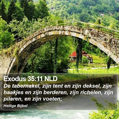 Exodus 35:11 NLD Bible Verse Image