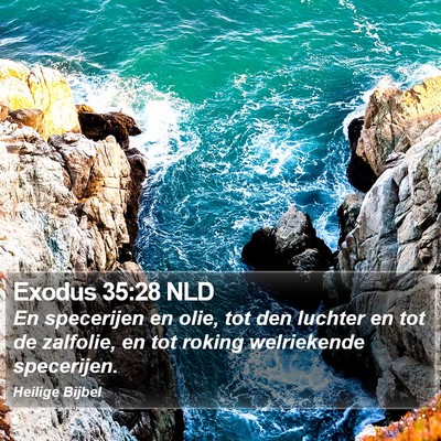Exodus 35:28 NLD Bible Verse Image