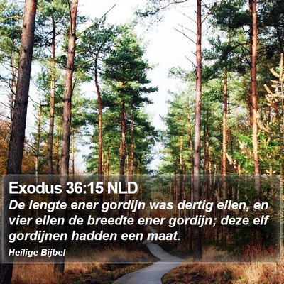 Exodus 36:15 NLD Bible Verse Image