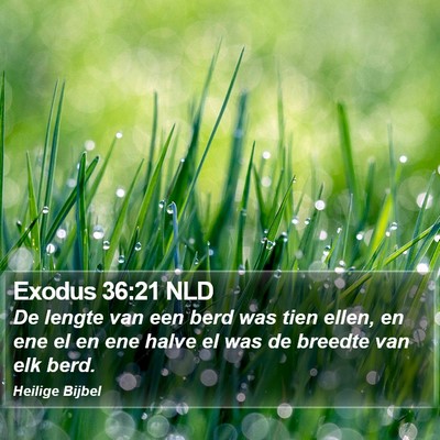 Exodus 36:21 NLD Bible Verse Image