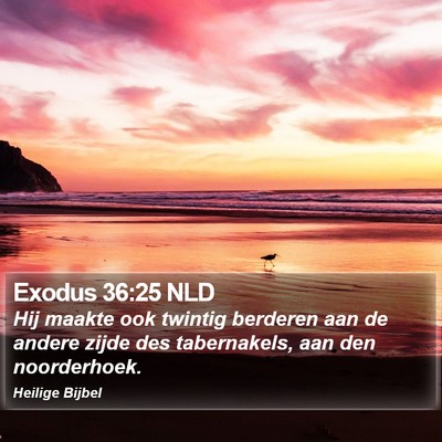 Exodus 36:25 NLD Bible Verse Image