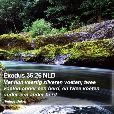 Exodus 36:26 NLD Bible Verse Image