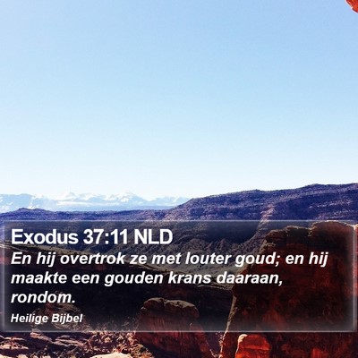Exodus 37:11 NLD Bible Verse Image