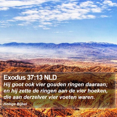 Exodus 37:13 NLD Bible Verse Image