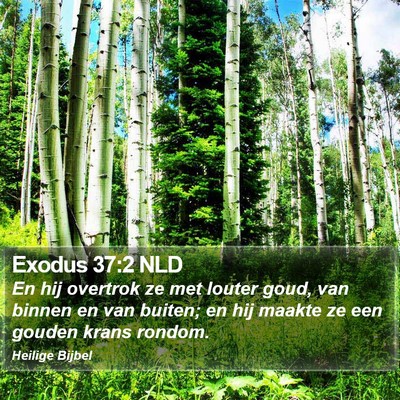 Exodus 37:2 NLD Bible Verse Image