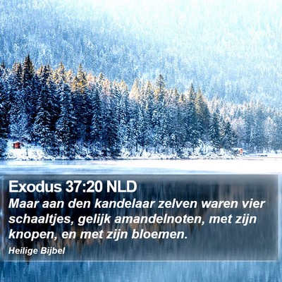 Exodus 37:20 NLD Bible Verse Image