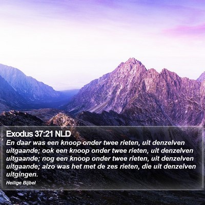 Exodus 37:21 NLD Bible Verse Image