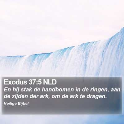 Exodus 37:5 NLD Bible Verse Image