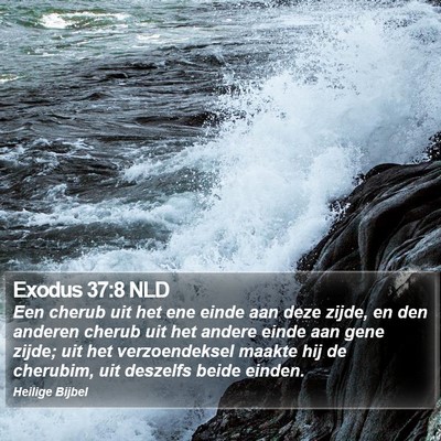 Exodus 37:8 NLD Bible Verse Image