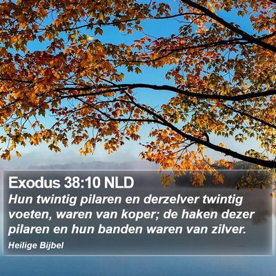 Exodus 38:10 NLD Bible Verse Image