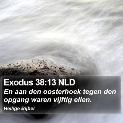 Exodus 38:13 NLD Bible Verse Image