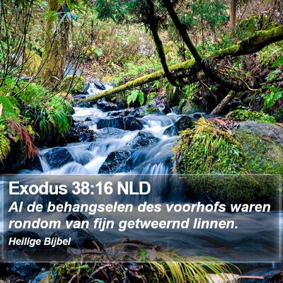 Exodus 38:16 NLD Bible Verse Image