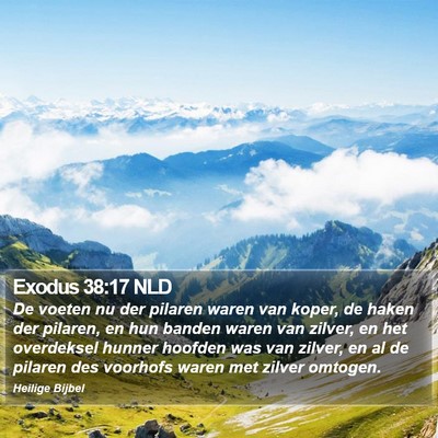 Exodus 38:17 NLD Bible Verse Image