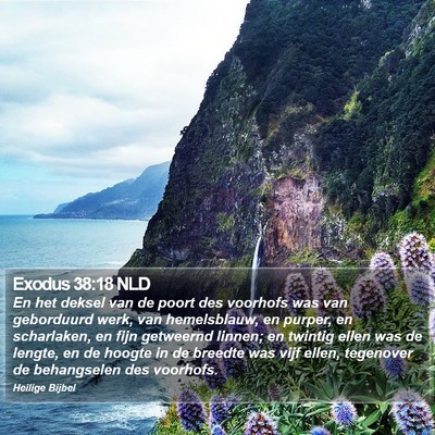 Exodus 38:18 NLD Bible Verse Image