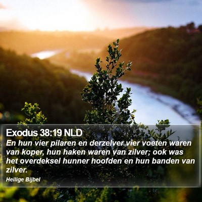 Exodus 38:19 NLD Bible Verse Image