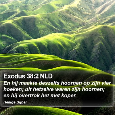 Exodus 38:2 NLD Bible Verse Image