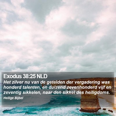 Exodus 38:25 NLD Bible Verse Image