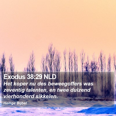 Exodus 38:29 NLD Bible Verse Image