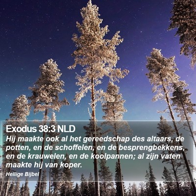 Exodus 38:3 NLD Bible Verse Image