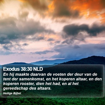 Exodus 38:30 NLD Bible Verse Image