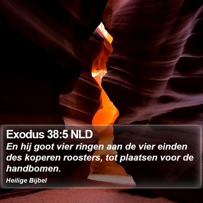 Exodus 38:5 NLD Bible Verse Image