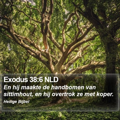Exodus 38:6 NLD Bible Verse Image