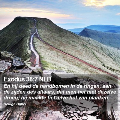 Exodus 38:7 NLD Bible Verse Image