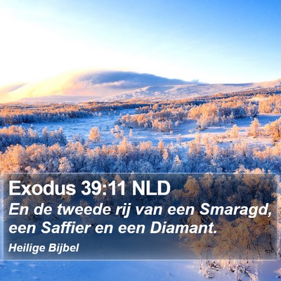 Exodus 39:11 NLD Bible Verse Image
