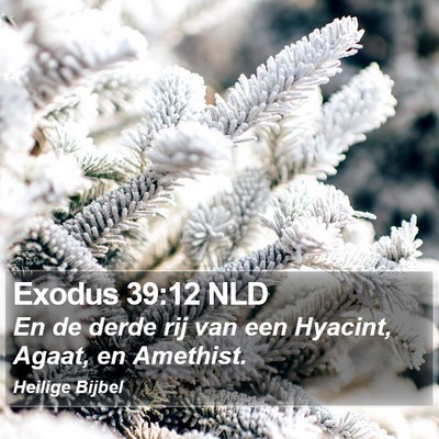 Exodus 39:12 NLD Bible Verse Image