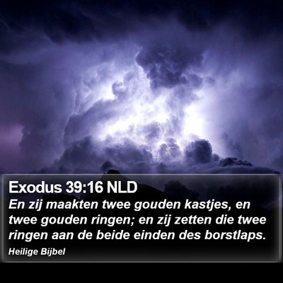 Exodus 39:16 NLD Bible Verse Image
