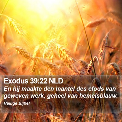 Exodus 39:22 NLD Bible Verse Image