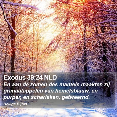 Exodus 39:24 NLD Bible Verse Image