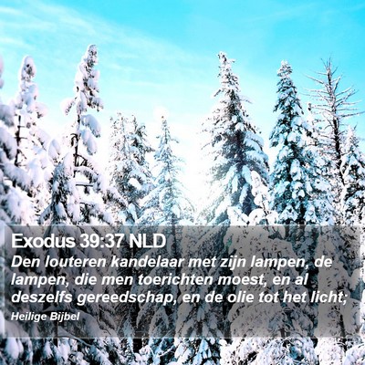 Exodus 39:37 NLD Bible Verse Image