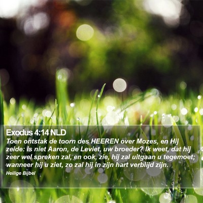 Exodus 4:14 NLD Bible Verse Image