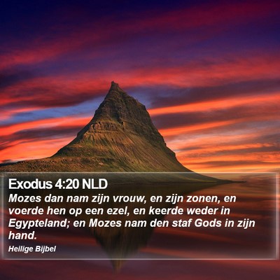 Exodus 4:20 NLD Bible Verse Image