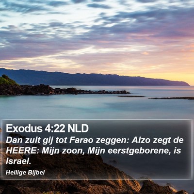 Exodus 4:22 NLD Bible Verse Image