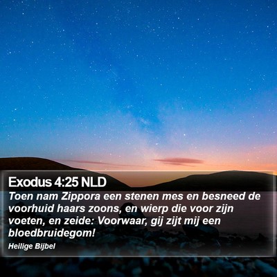 Exodus 4:25 NLD Bible Verse Image