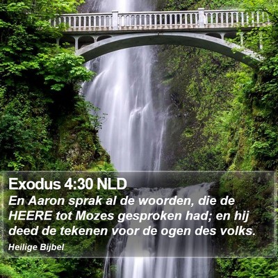 Exodus 4:30 NLD Bible Verse Image