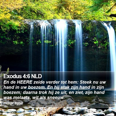 Exodus 4:6 NLD Bible Verse Image