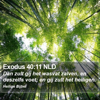 Exodus 40:11 NLD Bible Verse Image