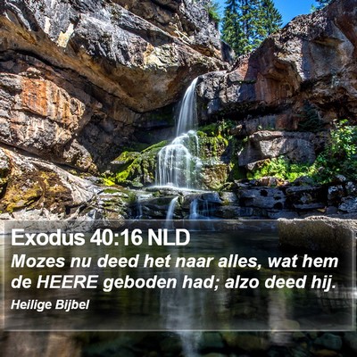 Exodus 40:16 NLD Bible Verse Image