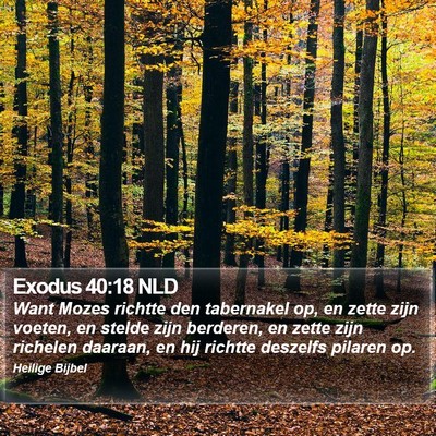 Exodus 40:18 NLD Bible Verse Image