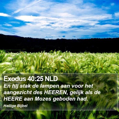 Exodus 40:25 NLD Bible Verse Image