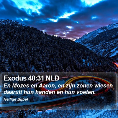 Exodus 40:31 NLD Bible Verse Image