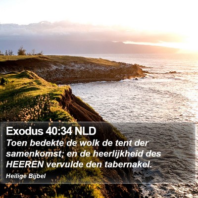 Exodus 40:34 NLD Bible Verse Image