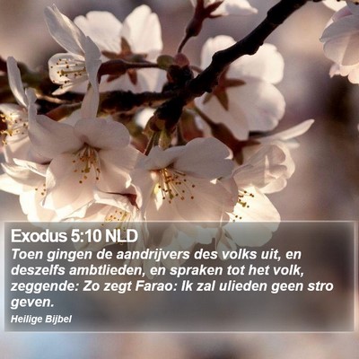 Exodus 5:10 NLD Bible Verse Image